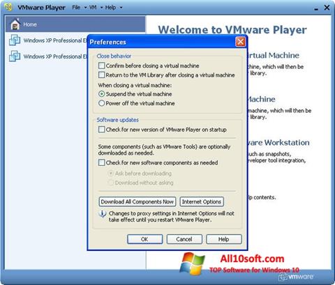Στιγμιότυπο οθόνης VMware Player Windows 10