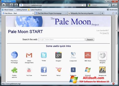 Στιγμιότυπο οθόνης Pale Moon Windows 10