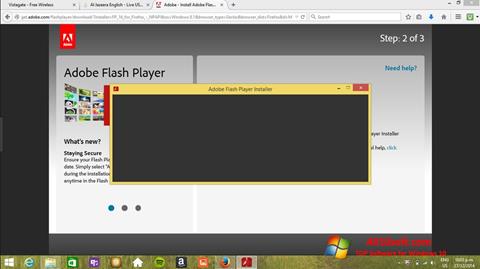 Στιγμιότυπο οθόνης Adobe Flash Player Windows 10